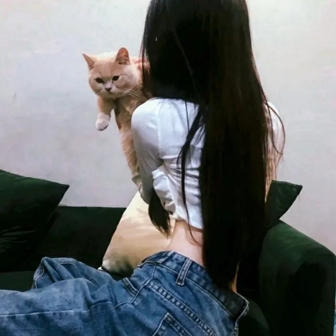 酋长的男人